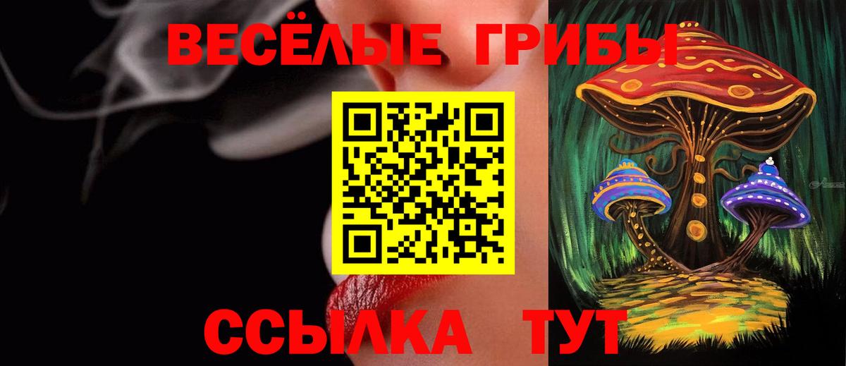 Псилоцибиновые грибы мухоморы  Вход с VPN  Галлюциногенные грибы Psilocybine cubensis  Ноябрьск 