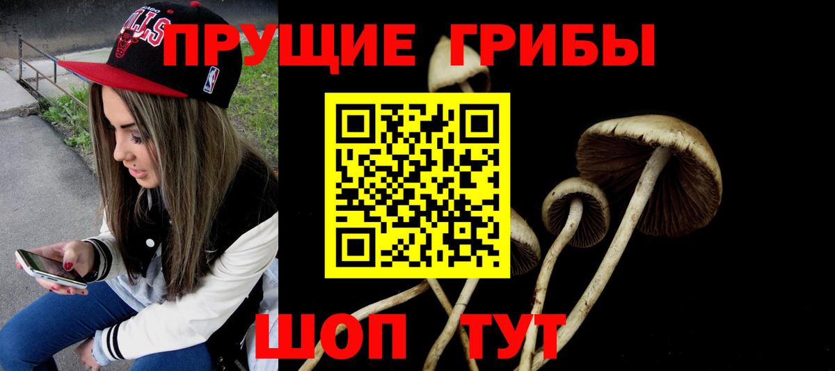 Псилоцибиновые грибы GOLDEN TEACHER Ноябрьск